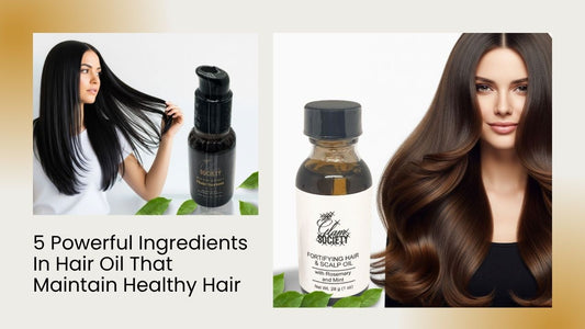 Powerful Ingredients In Hair Oil That Maintain Healthy Hair